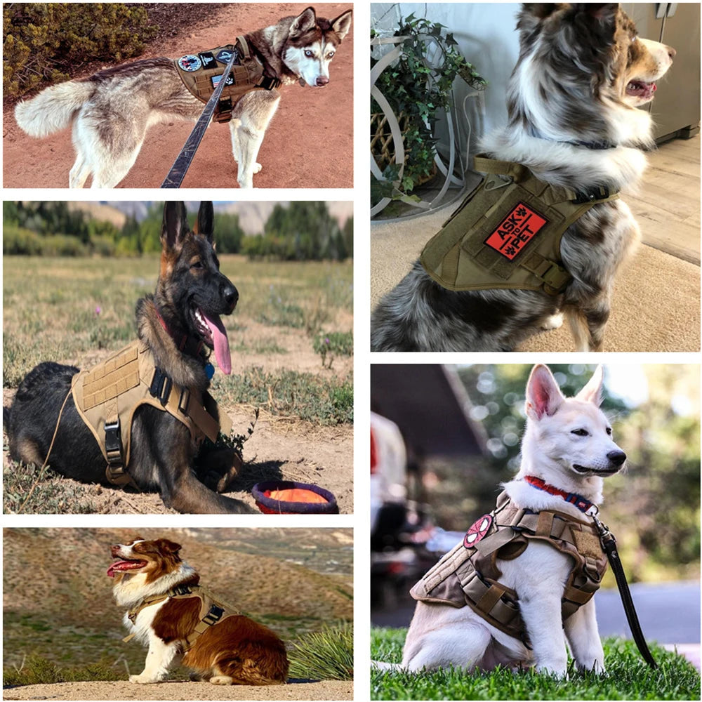 Large Dog Harness Collar Leash Set Military Dog Harnesses Pet Tactical Vest Training German Shepherd For Medium Large Dogs